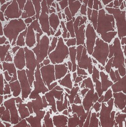 Toon details voor Dance 76 Care & Clean Afbeelding van Dance 76 Care & Clean